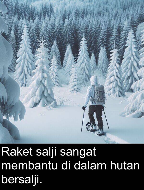 salji: Raket salji sangat membantu di dalam hutan bersalji.
