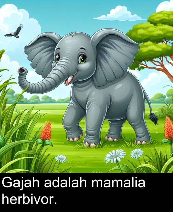adalah: Gajah adalah mamalia herbivor.