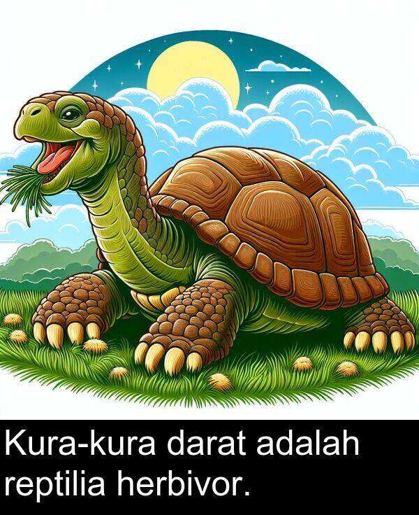 adalah: Kura-kura darat adalah reptilia herbivor.