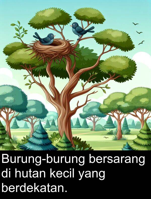 berdekatan: Burung-burung bersarang di hutan kecil yang berdekatan.