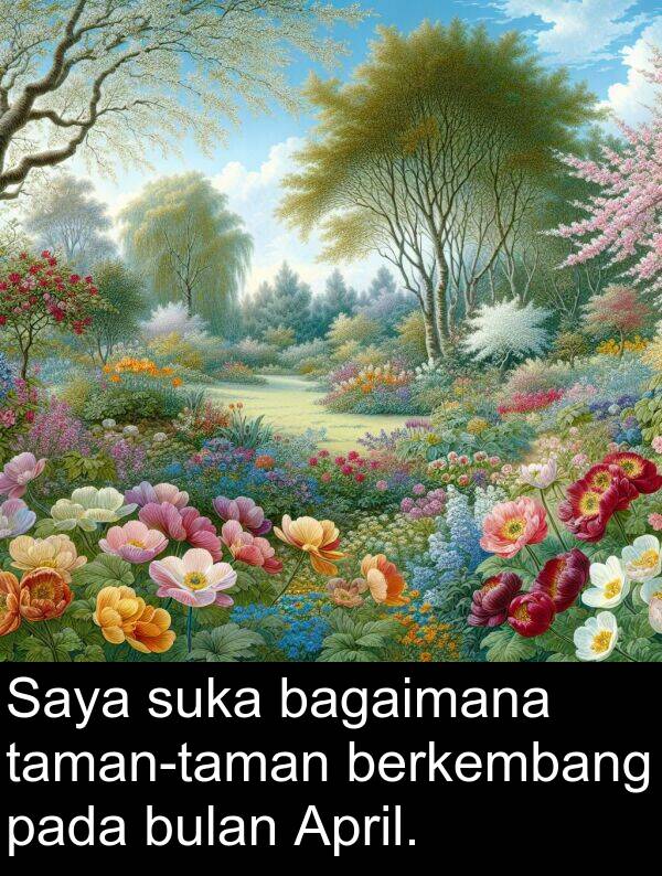 berkembang: Saya suka bagaimana taman-taman berkembang pada bulan April.