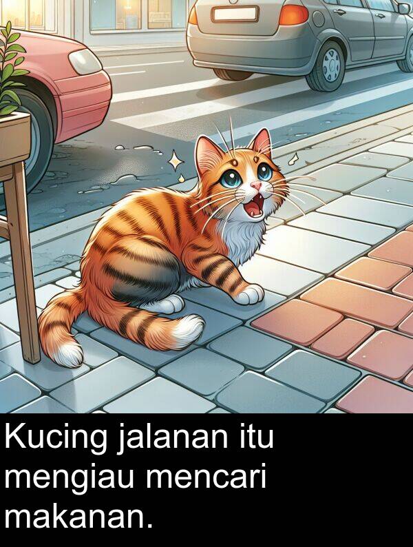 jalanan: Kucing jalanan itu mengiau mencari makanan.