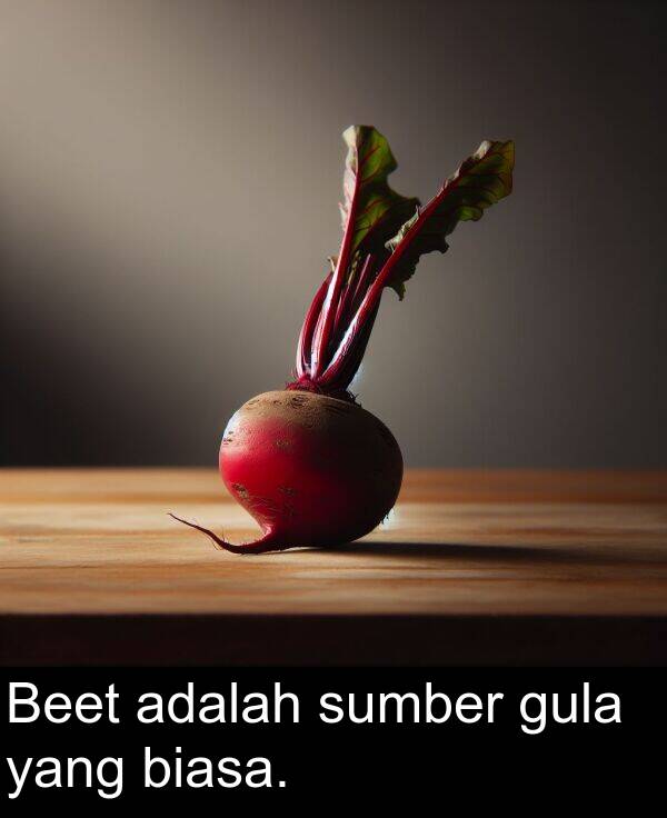 sumber: Beet adalah sumber gula yang biasa.