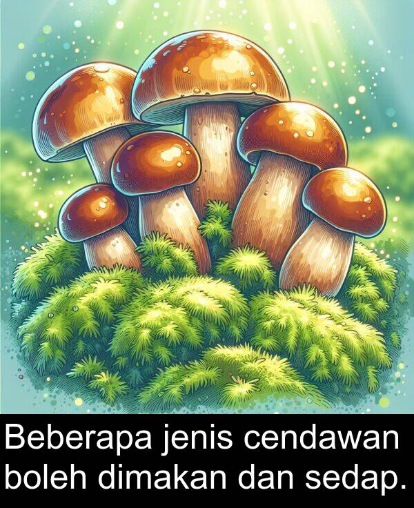 boleh: Beberapa jenis cendawan boleh dimakan dan sedap.