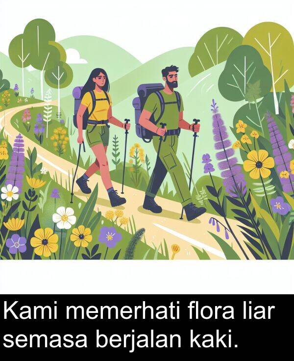 flora: Kami memerhati flora liar semasa berjalan kaki.