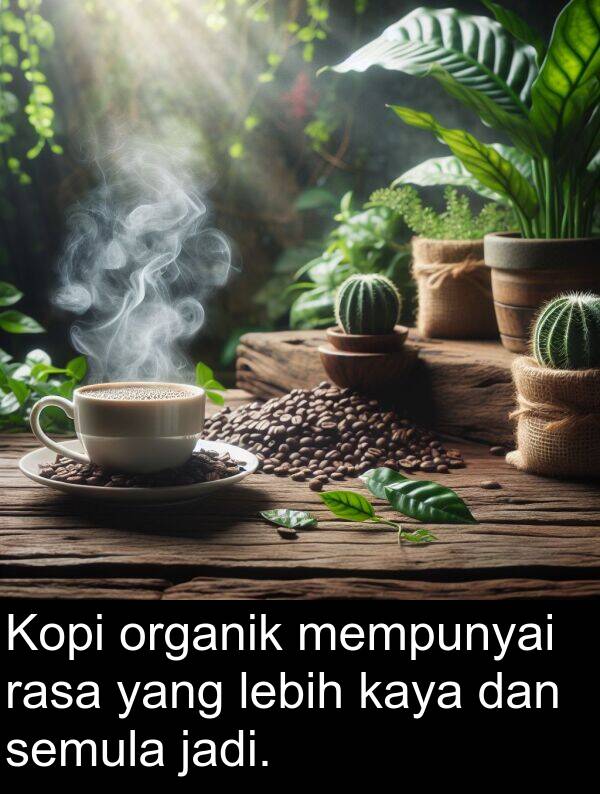 semula: Kopi organik mempunyai rasa yang lebih kaya dan semula jadi.