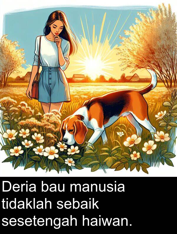 tidaklah: Deria bau manusia tidaklah sebaik sesetengah haiwan.