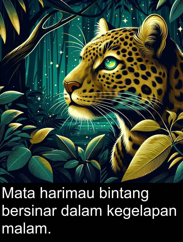 kegelapan: Mata harimau bintang bersinar dalam kegelapan malam.