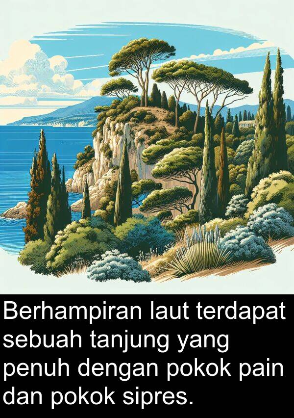 sipres: Berhampiran laut terdapat sebuah tanjung yang penuh dengan pokok pain dan pokok sipres.