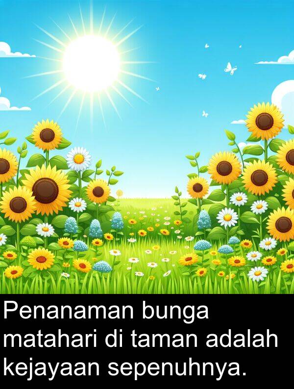 taman: Penanaman bunga matahari di taman adalah kejayaan sepenuhnya.