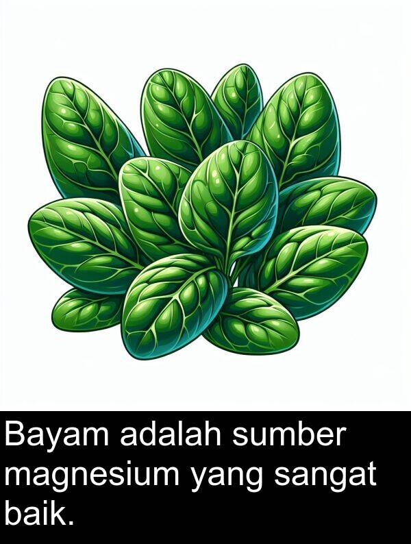 sumber: Bayam adalah sumber magnesium yang sangat baik.