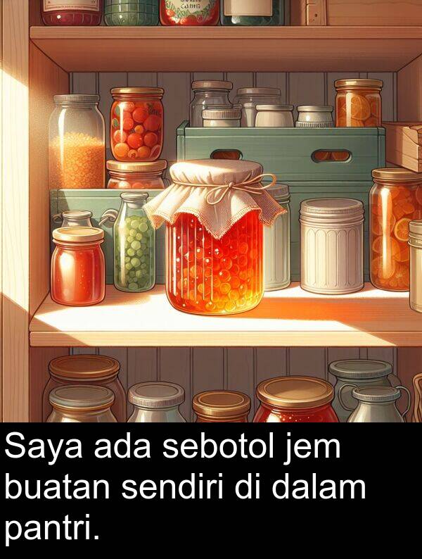 sendiri: Saya ada sebotol jem buatan sendiri di dalam pantri.