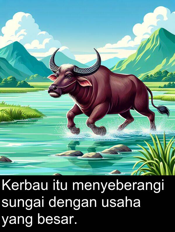 menyeberangi: Kerbau itu menyeberangi sungai dengan usaha yang besar.