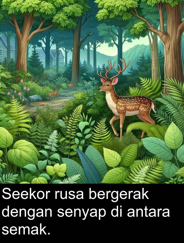 rusa: Seekor rusa bergerak dengan senyap di antara semak.