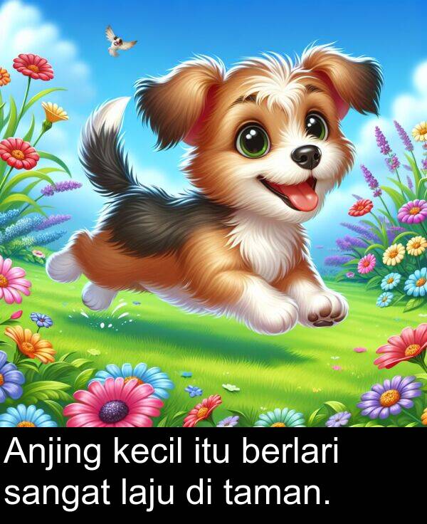 kecil: Anjing kecil itu berlari sangat laju di taman.