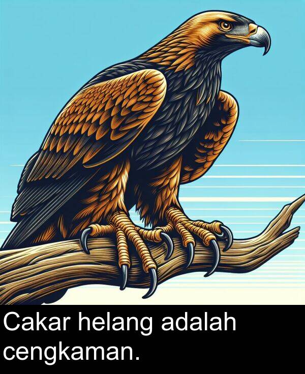 cengkaman: Cakar helang adalah cengkaman.
