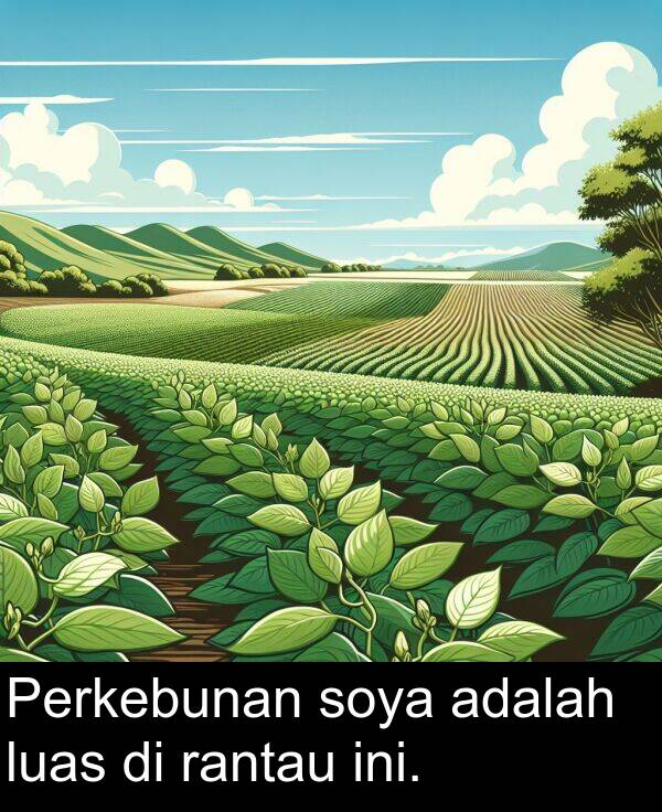soya: Perkebunan soya adalah luas di rantau ini.