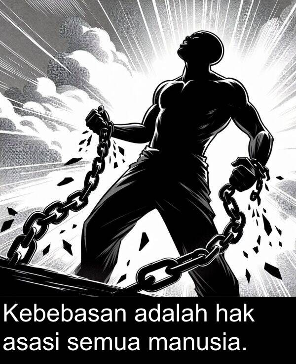 semua: Kebebasan adalah hak asasi semua manusia.