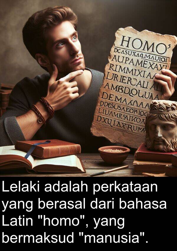 perkataan: Lelaki adalah perkataan yang berasal dari bahasa Latin "homo", yang bermaksud "manusia".