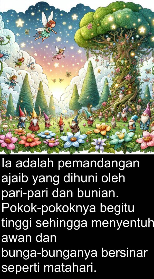 ajaib: Ia adalah pemandangan ajaib yang dihuni oleh pari-pari dan bunian. Pokok-pokoknya begitu tinggi sehingga menyentuh awan dan bunga-bunganya bersinar seperti matahari.