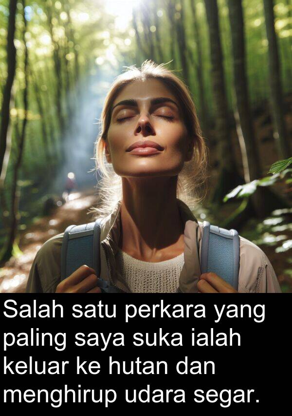 keluar: Salah satu perkara yang paling saya suka ialah keluar ke hutan dan menghirup udara segar.