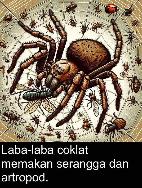 coklat: Laba-laba coklat memakan serangga dan artropod.