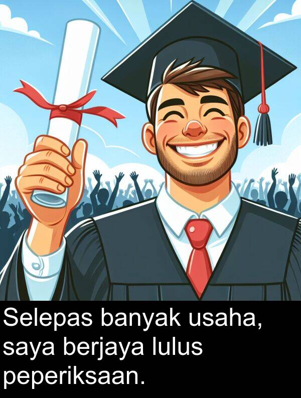 berjaya: Selepas banyak usaha, saya berjaya lulus peperiksaan.