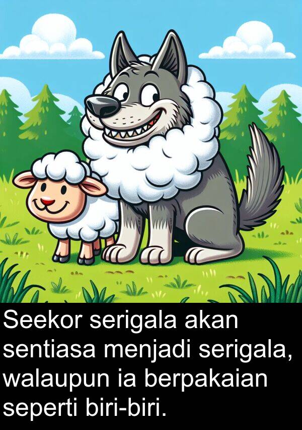 seperti: Seekor serigala akan sentiasa menjadi serigala, walaupun ia berpakaian seperti biri-biri.