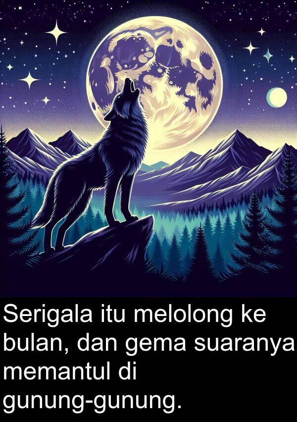 suaranya: Serigala itu melolong ke bulan, dan gema suaranya memantul di gunung-gunung.