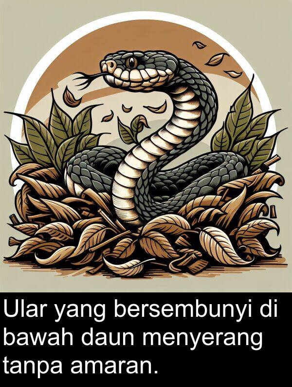 menyerang: Ular yang bersembunyi di bawah daun menyerang tanpa amaran.