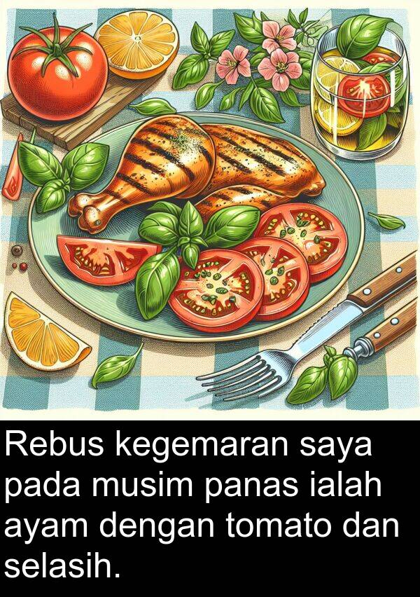 tomato: Rebus kegemaran saya pada musim panas ialah ayam dengan tomato dan selasih.