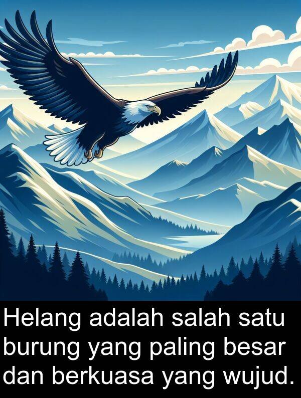 paling: Helang adalah salah satu burung yang paling besar dan berkuasa yang wujud.