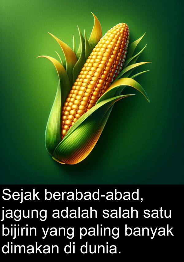 dimakan: Sejak berabad-abad, jagung adalah salah satu bijirin yang paling banyak dimakan di dunia.