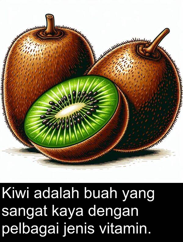pelbagai: Kiwi adalah buah yang sangat kaya dengan pelbagai jenis vitamin.