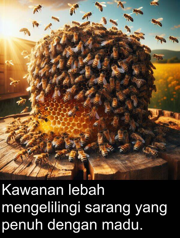 sarang: Kawanan lebah mengelilingi sarang yang penuh dengan madu.