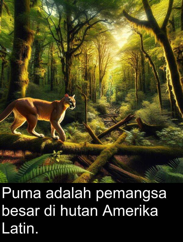 pemangsa: Puma adalah pemangsa besar di hutan Amerika Latin.