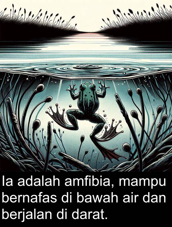 amfibia: Ia adalah amfibia, mampu bernafas di bawah air dan berjalan di darat.