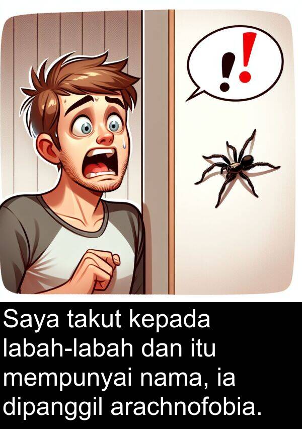 dipanggil: Saya takut kepada labah-labah dan itu mempunyai nama, ia dipanggil arachnofobia.