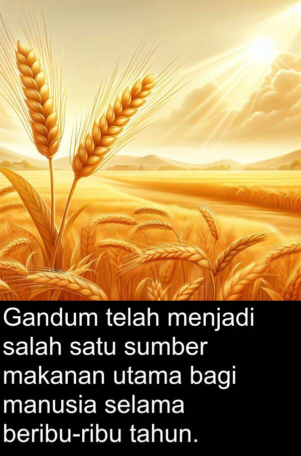 sumber: Gandum telah menjadi salah satu sumber makanan utama bagi manusia selama beribu-ribu tahun.