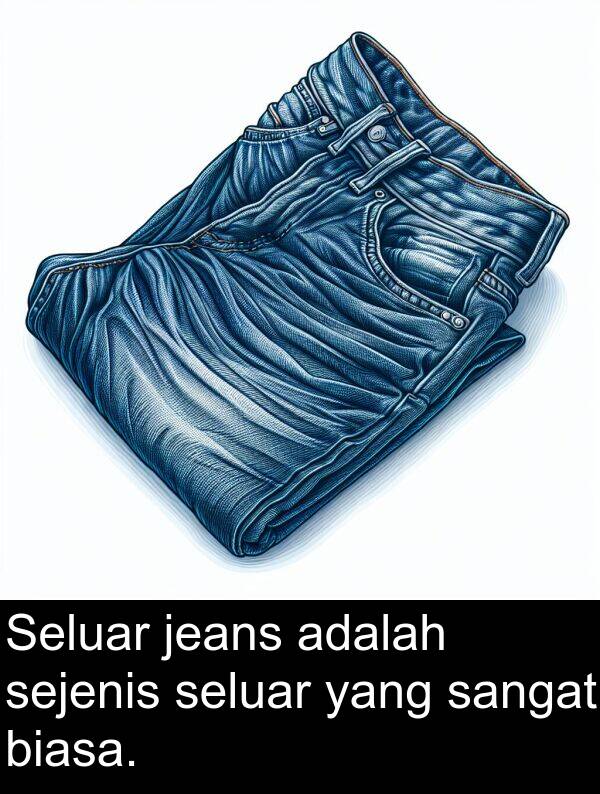 jeans: Seluar jeans adalah sejenis seluar yang sangat biasa.