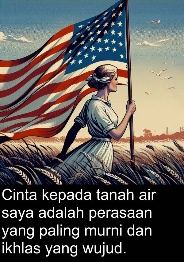 perasaan: Cinta kepada tanah air saya adalah perasaan yang paling murni dan ikhlas yang wujud.