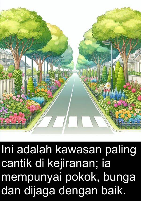 kawasan: Ini adalah kawasan paling cantik di kejiranan; ia mempunyai pokok, bunga dan dijaga dengan baik.