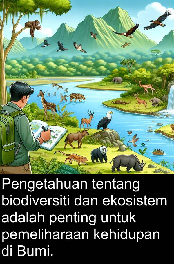 pemeliharaan: Pengetahuan tentang biodiversiti dan ekosistem adalah penting untuk pemeliharaan kehidupan di Bumi.