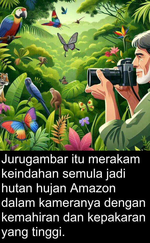 merakam: Jurugambar itu merakam keindahan semula jadi hutan hujan Amazon dalam kameranya dengan kemahiran dan kepakaran yang tinggi.