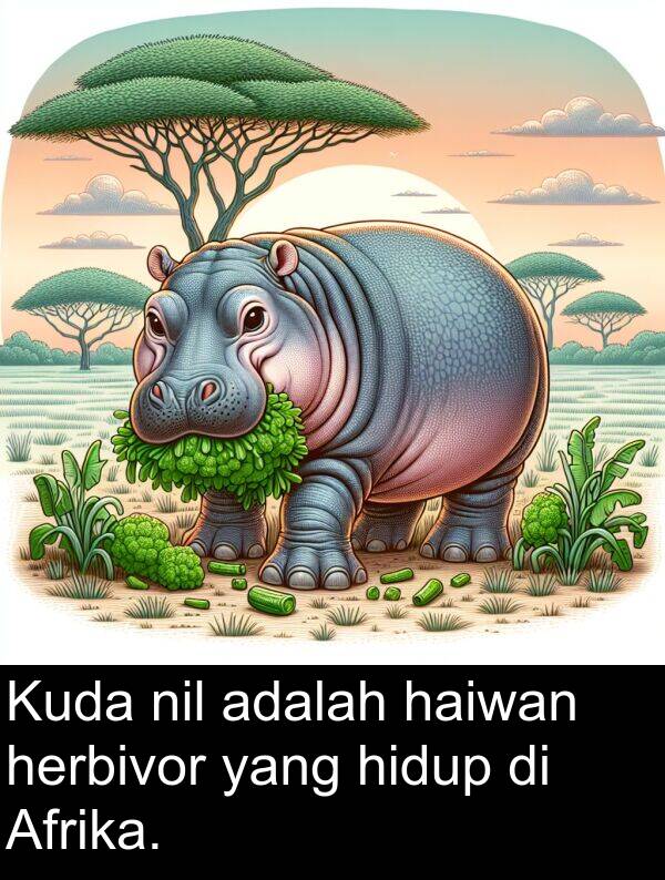 nil: Kuda nil adalah haiwan herbivor yang hidup di Afrika.