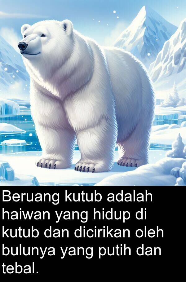 dicirikan: Beruang kutub adalah haiwan yang hidup di kutub dan dicirikan oleh bulunya yang putih dan tebal.