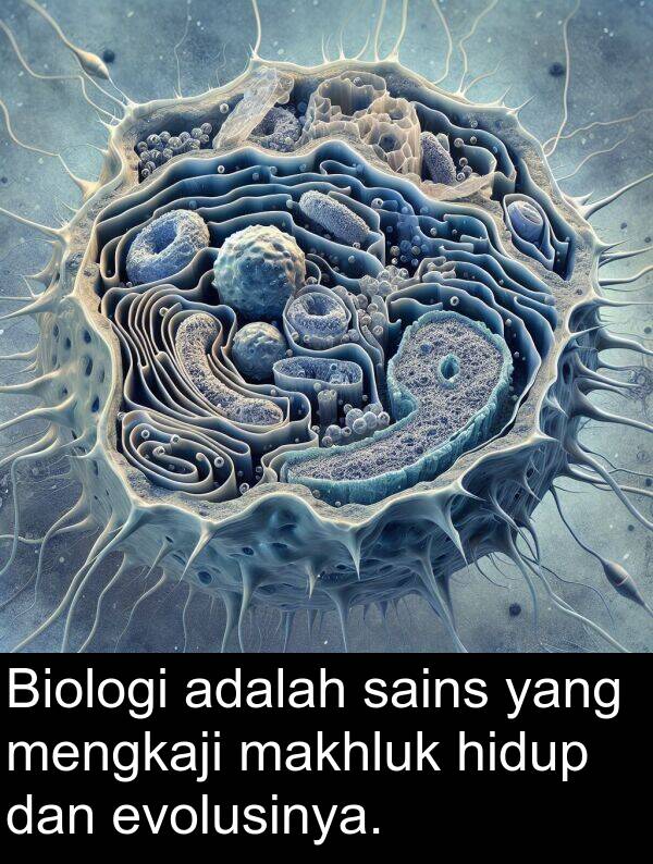 mengkaji: Biologi adalah sains yang mengkaji makhluk hidup dan evolusinya.
