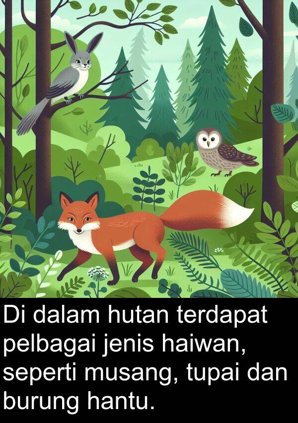 musang: Di dalam hutan terdapat pelbagai jenis haiwan, seperti musang, tupai dan burung hantu.