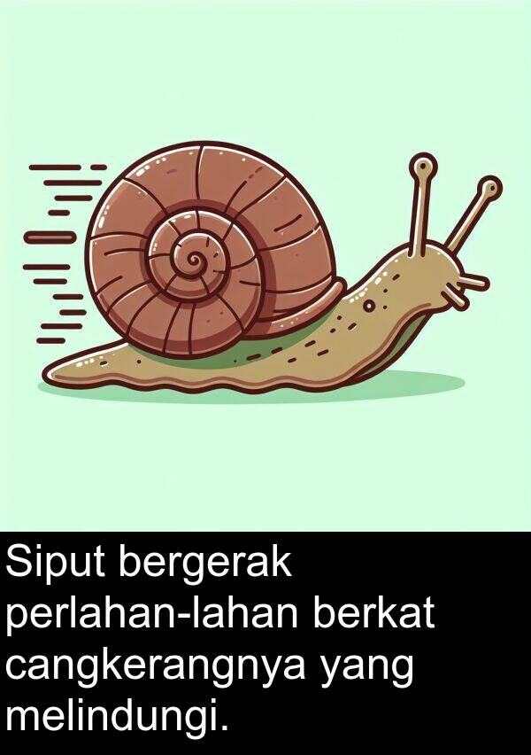 bergerak: Siput bergerak perlahan-lahan berkat cangkerangnya yang melindungi.