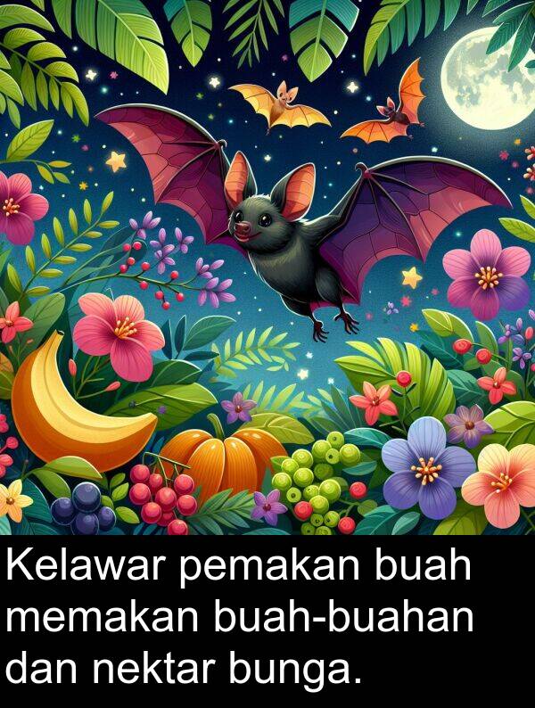 pemakan: Kelawar pemakan buah memakan buah-buahan dan nektar bunga.